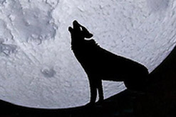 Full Moon