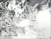 Foto: NASA/GSFC, MODIS Rapid Response