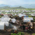 Displaced lives