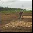Experimento com Terra Preta na Amazônia