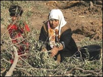 زن فلسطينی