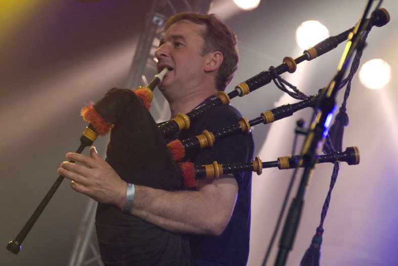 Peatbog Faeries