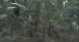 matis's video screenshot thumbnail