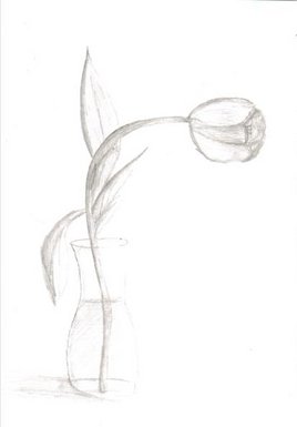 Tulip