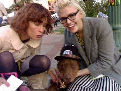 Aww, shnookums! We think the dog in the hat was called Bernie
