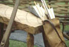 Photograph showing Welsh warrior weapons