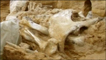 Mamute