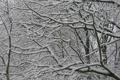 snow
