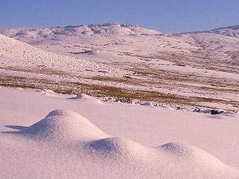 Eira ar y mynydd
