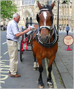 Ray Smith and Rio