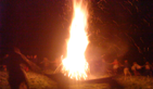 Tine Bhealtaine