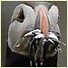 a puffin