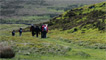 Walking trails