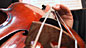 A guide to the orchestra