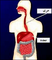  د مرۍ التهاب