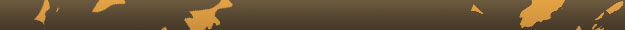 Banner - Black History