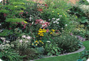 Mixed border