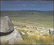 Fox Tor Mires