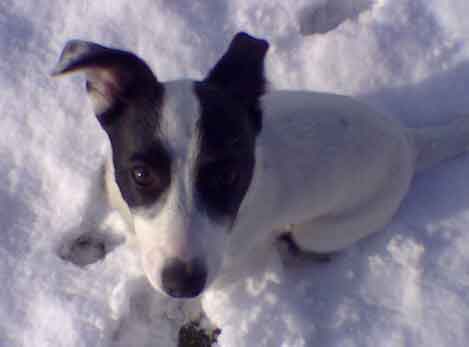 Spike
