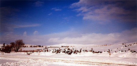 Photo showing white fields under a crisp blue sky