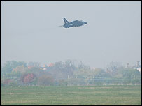 Hawk flying over Southend