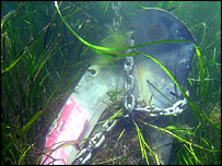 Boat anchor