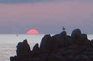 The view from Sally's tent in Cornwall