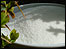 Watts promoted abstinence from sugar
