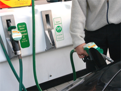 Biofuel pump