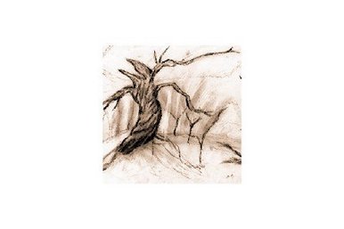 Sleepy Hollow