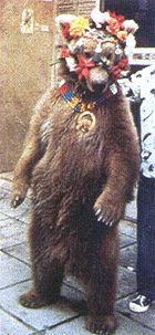 Dancing Bear
