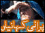 دریا پار دیکھ سکتے ہیں، جا نہیں سکتے