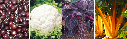 Vegetables