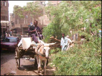 کئی 