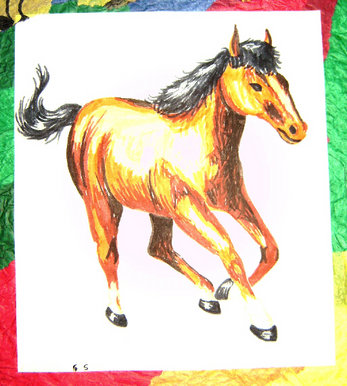 Horse