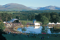 Gŵyl y Faenol