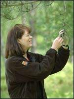 Val Coulton