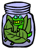 Place the caterpillar in the glass jar