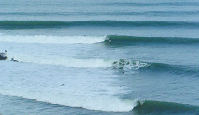Whale Bay