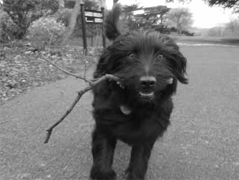 Buster