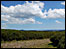 Woodbury Common