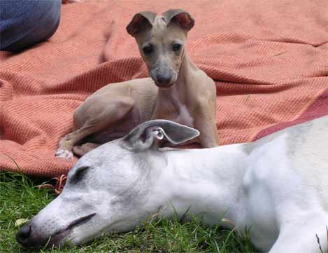 Silas and Eppie