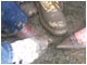The mud