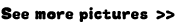 Graphic: See more gallery pictures: link