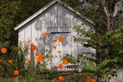 A garden shed photographed by JamesCanby ( Flickr )