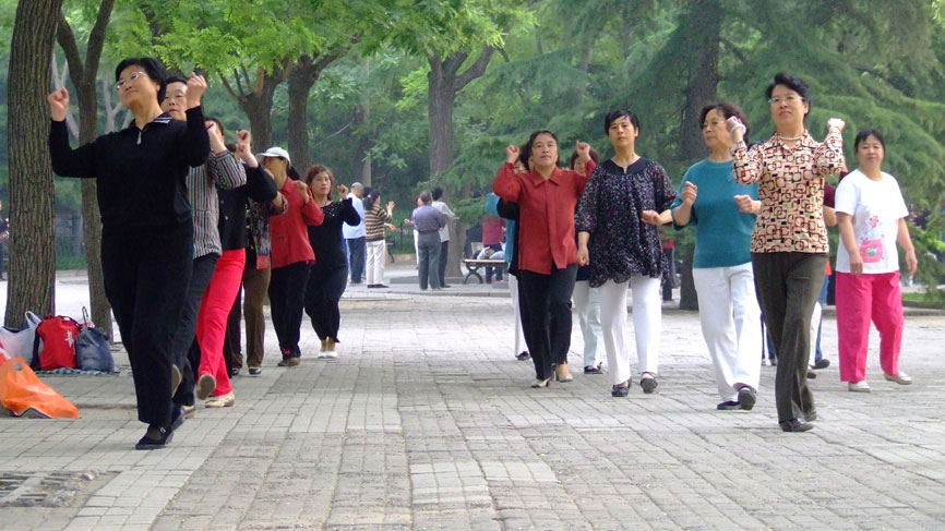 Exersize class in the park.