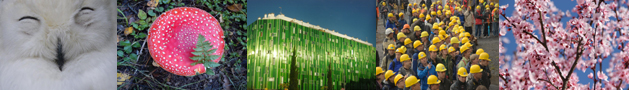 various photos from 2011 BBC Learning English calendar