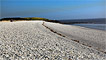 The Knap in Barry by John Bennett