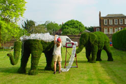 Topiary