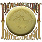 Review of Psychedelic Pill